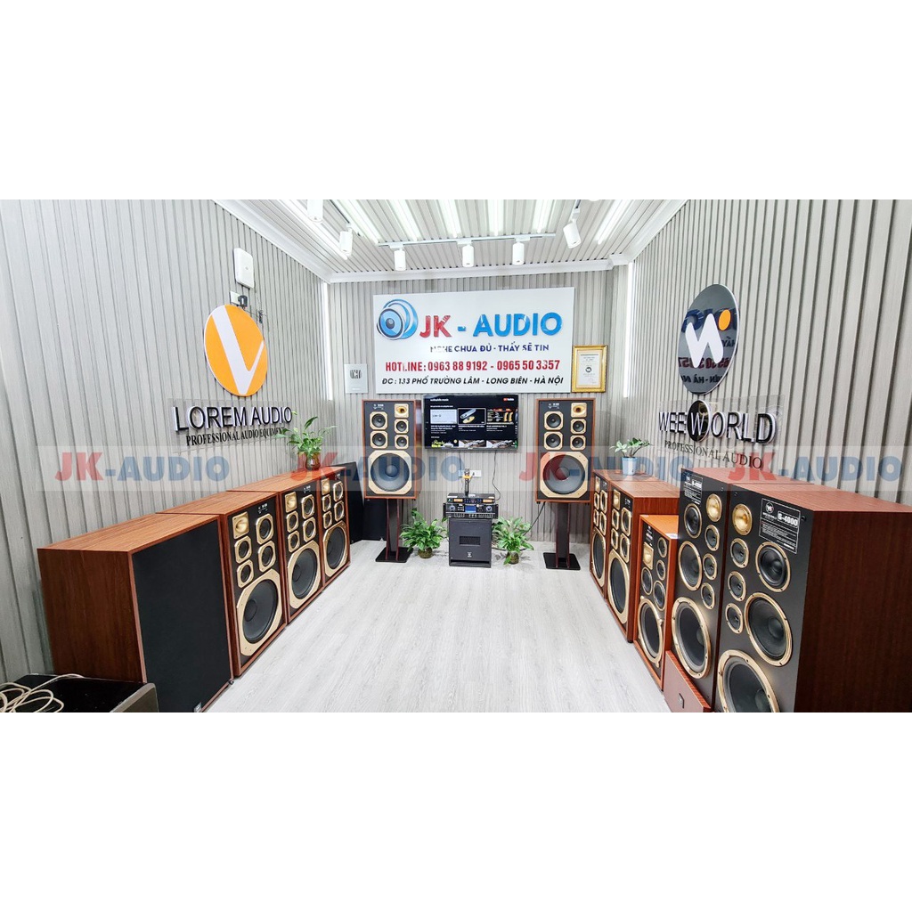 Loa Weeworld W938 Pro - bass 40