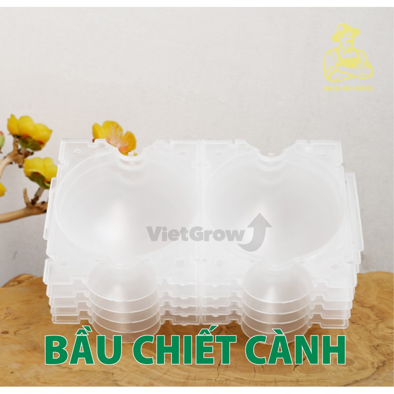 Combo 3 Bầu chiết cành Croco - Ghép Giống Rễ Cây Nhân Giống Có Thể Tái Sử Dụng Bằng Nhựa Màu Trong Suốt