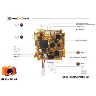 NewBeeDrone AcroBee65 BLV3 BNF