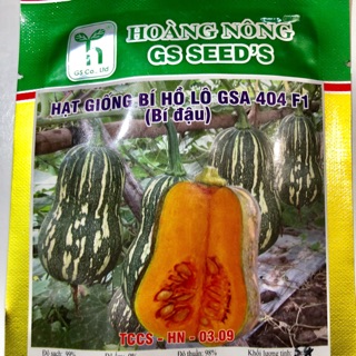 HẠT GIỐNG BÍ HỒ LÔ GSA 444 F1 (Bí đỏ hạt đậu)