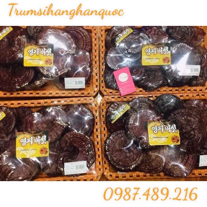 [HÀNG MỚI] Nấm linh chi Đỏ dạng khay HÀN QUỐC[DUY NHẤT HÔM NAY] [SALE LỚN]