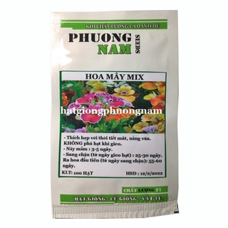 100 HẠT - HẠT GIỐNG HOA MÂY MIX