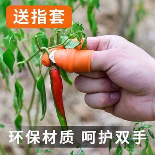 [Hàng mới] Dụng Cụ Bấm Hoa Quả , Nhặt Rau