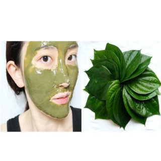 500GR BỘT TRẦU KHÔNG, BỘT LÁ TRẦU KHÔNG