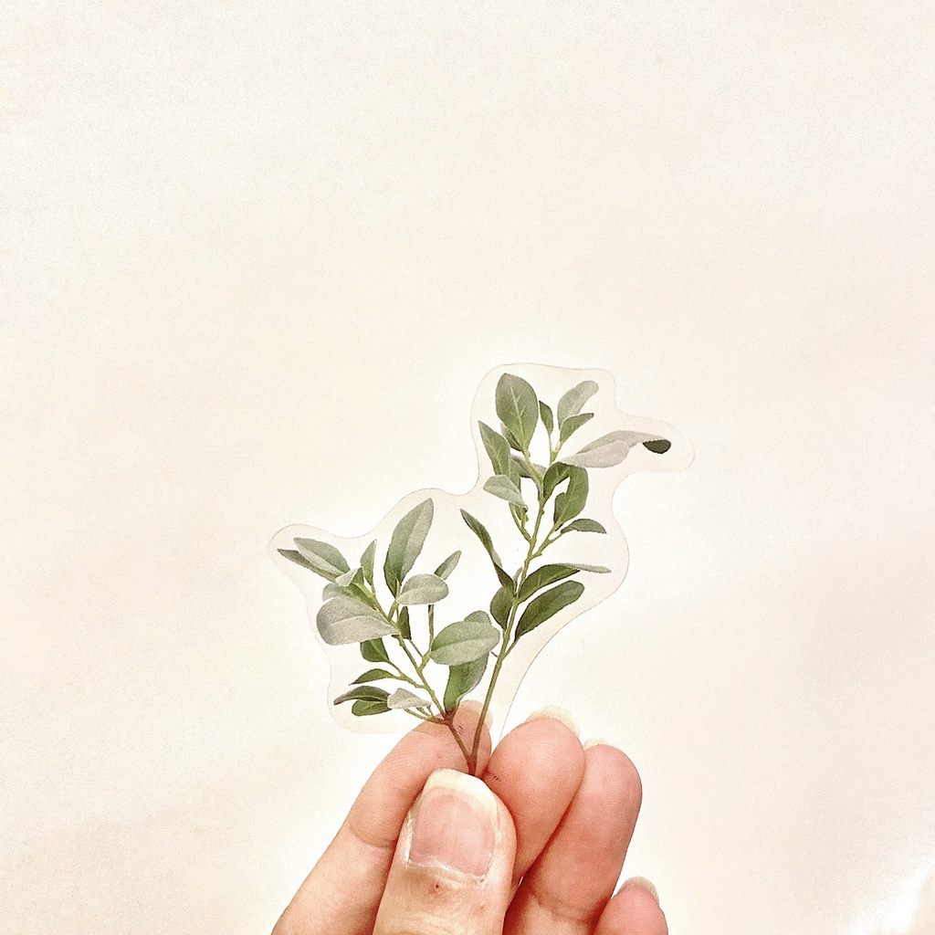 ⚡ Nhãn dán trang trí lá cây siêu dễ thương - IY46