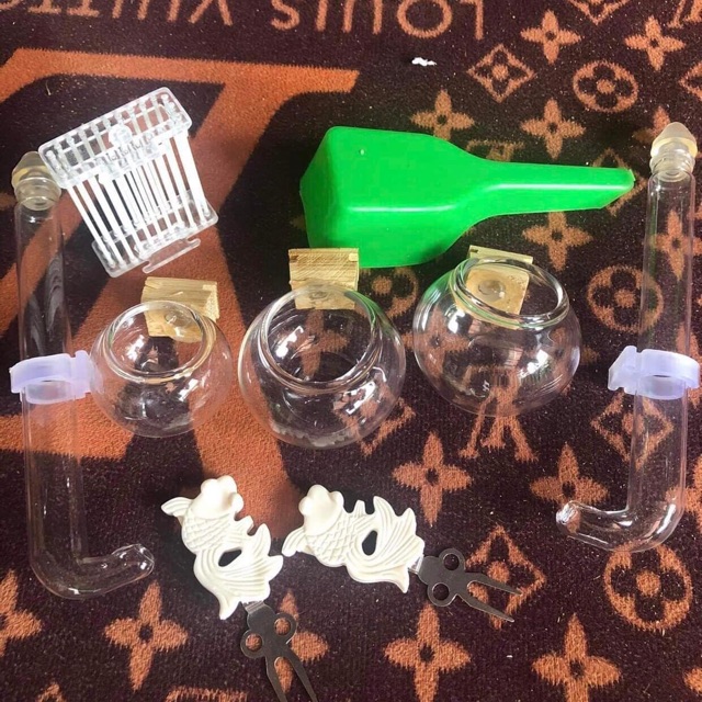 tranminhphuong.tranhaidang