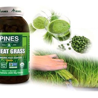 Viên cỏ lúa mì hữu cơ