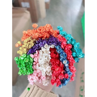 Set 100 hoa khô tặng kèm lọ🌸combo hoa khô tặng kèm lọ thủy tinh trang trí