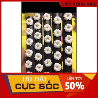 hoa bột nail -hoa đậu