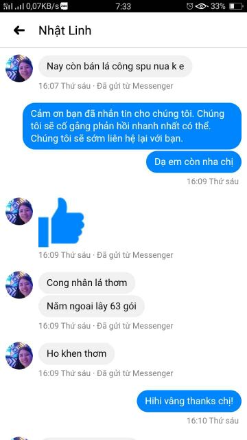 1kg Lá tắm người Dao đỏ