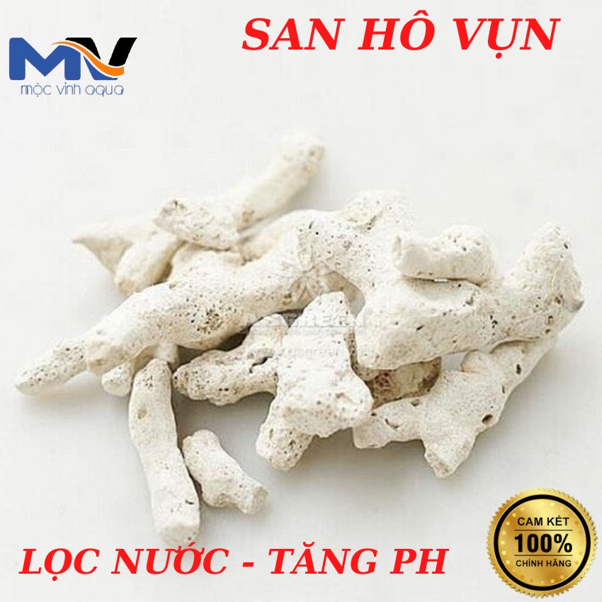 San hô vụn lọc nước 1kg tăng độ PH cho bể cá