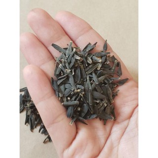 Hạt giống hoa thược dược bụi đơn mix