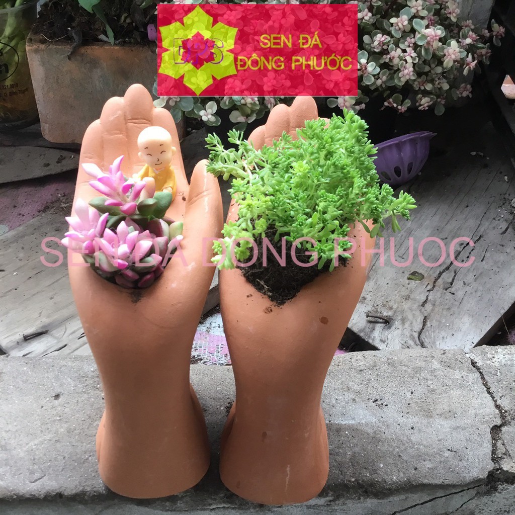 CHẬU ĐẤT NUNG HÌNH BÀN TAY - chậu trồng tiểu cảnh sen đá, xương rồng, cây phong thuỷ văn phòng đẹp