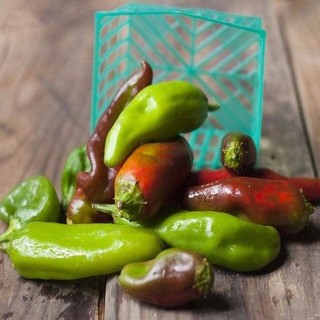 HẠT GIỐNG ỚT NGỌT BIGDADDY