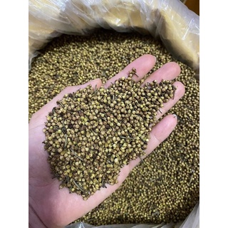 Trà nụ vối khô 1 kg đã sao vàng, uống thanh nhiệt cơ thể