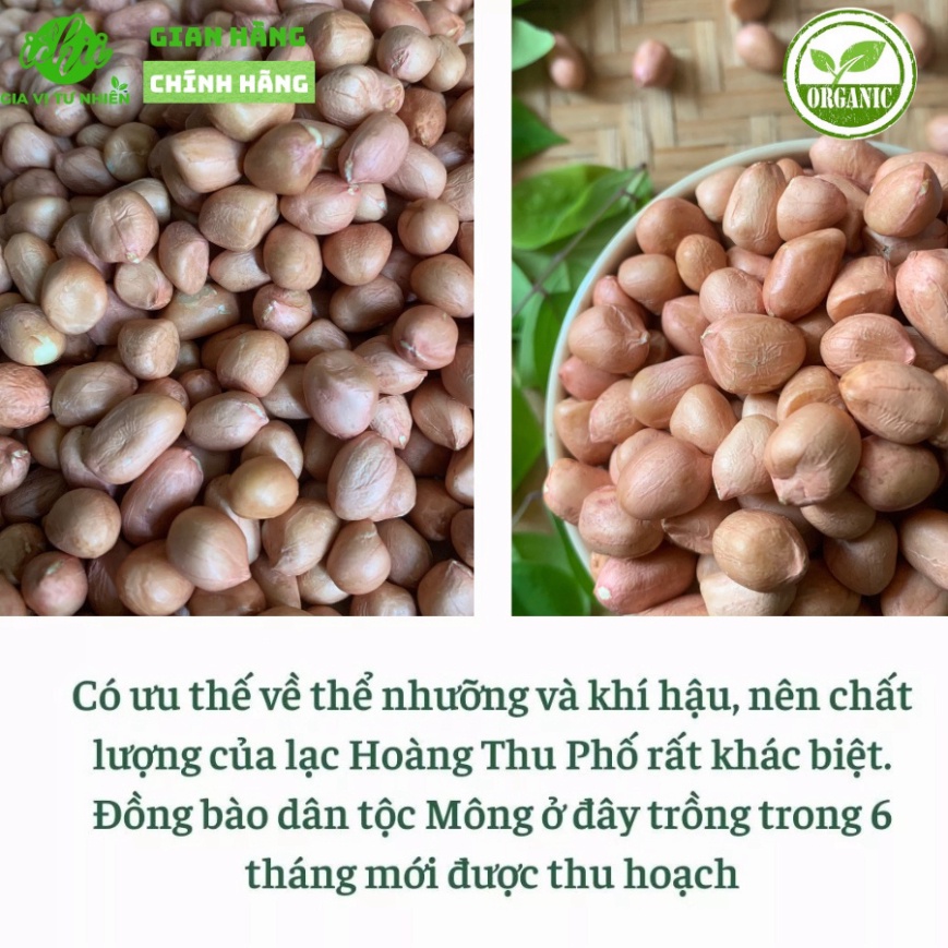 Lạc trắng hữu cơ ICHII , Lạc trắng organic HOÀNG THU PHỐ , Đậu phộng đạt tiêu chuẩn VIETGAP gói 500g