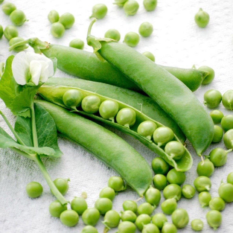 Hạt giống Đậu Hà Lan (50 gram) ☘️