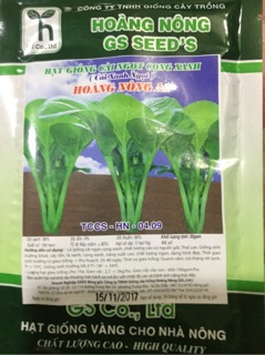 HẠT GIỐNG CẢI NGỌT CỌNG XANH