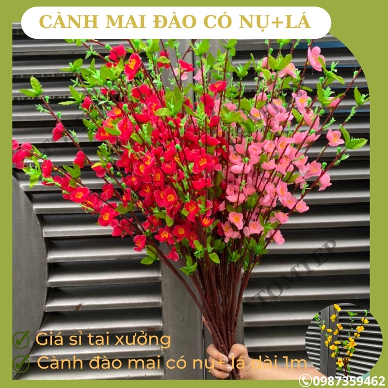 Giá xưởng combo 10 cành hoa đào, hoa mai có nụ và lá