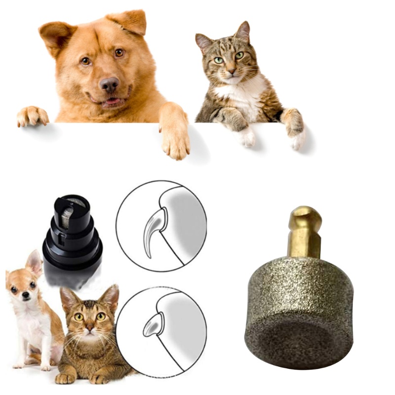 QQ Đầu Mài Móng Bằng Điện Thay Thế Cho Thú Cưng