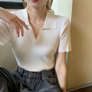 Áo polo montoghi trơn