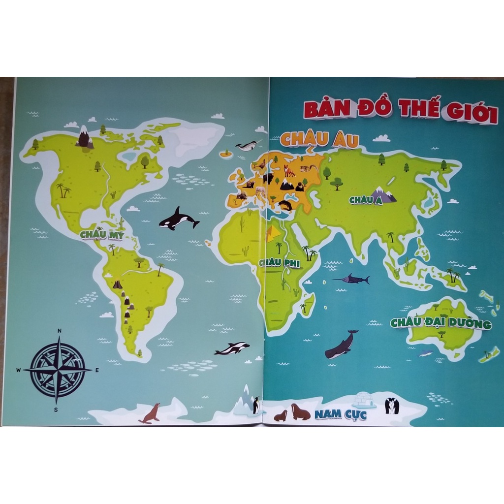 Sách- Khám Phá Động Vật 5 Châu- Châu Âu