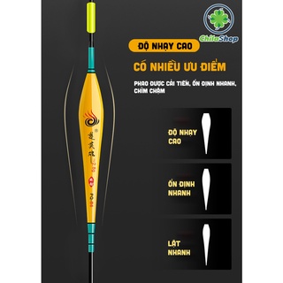 PHAO HỐ ĐẤU QUYỀN NĂNG