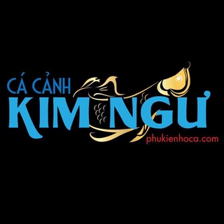 CÁ CẢNH KIM NGƯ
