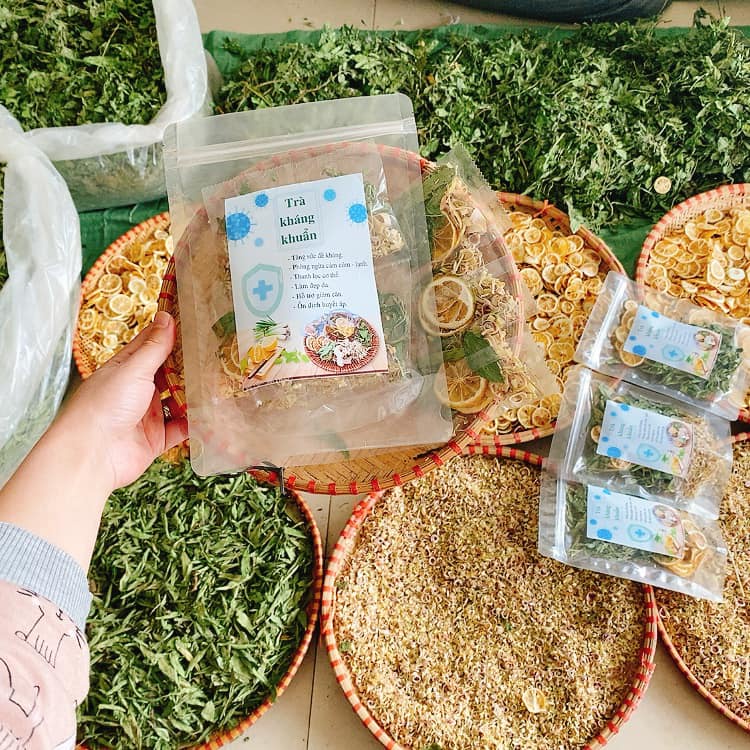 Trà kháng khuẩn tăng sức đề kháng - Nguyên liệu thảo dược sạch nhà làm