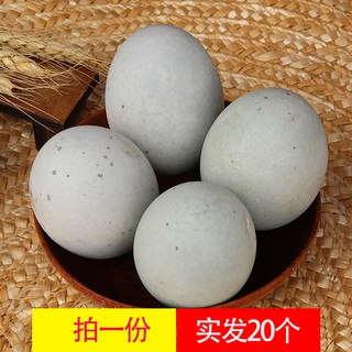 Trứng Bách Thảo