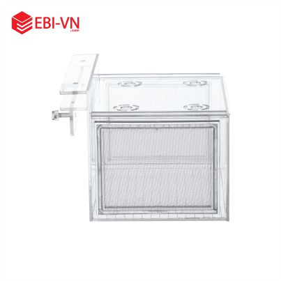 Box Dưỡng Cá Tép BT20 20*16*13cm