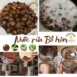 Quả bồ hòn khô