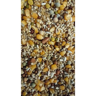 Thức ăn dành cho Bồ câu tập lực gói 1kg