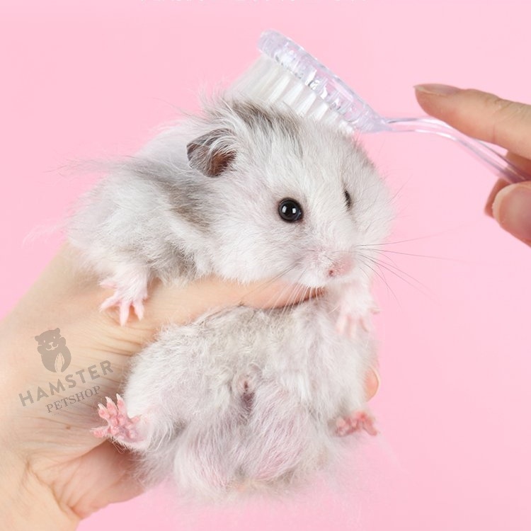 Lược chải lông hamster , thỏ , bọ , sóc