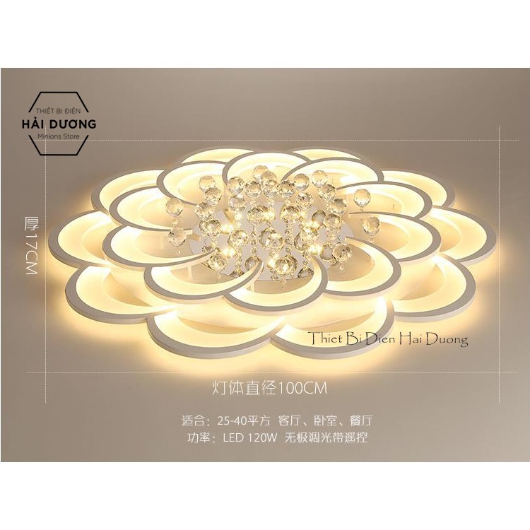Đèn LED ốp trần hình hoa pha lê 16-20 cánh NT023 3 chế độ ánh sáng - Có điều khiển Từ Xa - Bảo Hành 1 Năm - Có Video