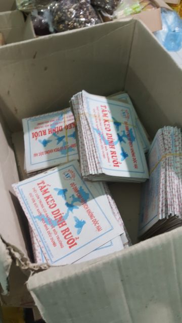 Tấm keo dính ruồi 1 Cái