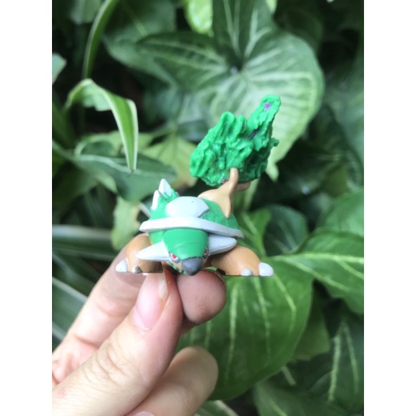 Mô hình Pokemon Torterra hãng Takara Tomy