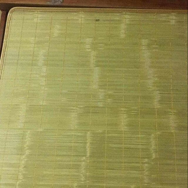 Chiếu trúc tây bắc