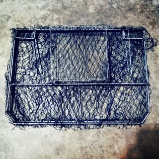 Mẹt bẫy đã năng , bẫy quốc , bẫy bìm bịp , bẫy chim săn ,nhanh và hiệu quả