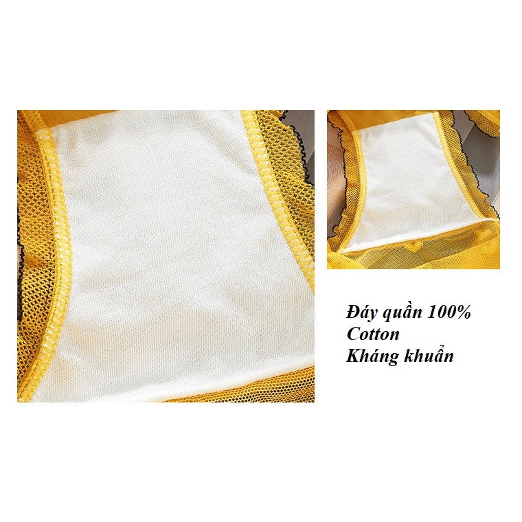 Quần Lót Ren Nữ Sexy Phối Lụa Cao Cấp Thoáng Mát QR06 - Her Sleepwear