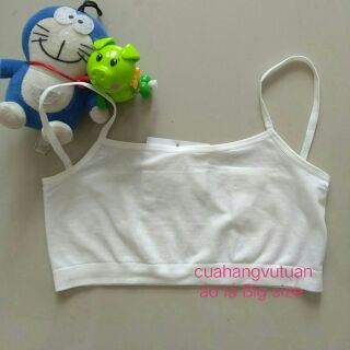 Áo lá học sinh dành cho Bé Big size
