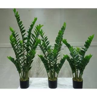 Cây kim tiền giả trang trí 110cm hằng decor