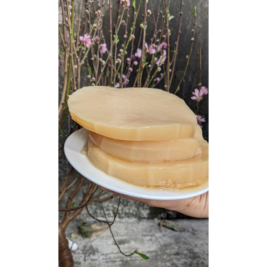 SCOBY Organic - Trà Kombucha Hữu Cơ