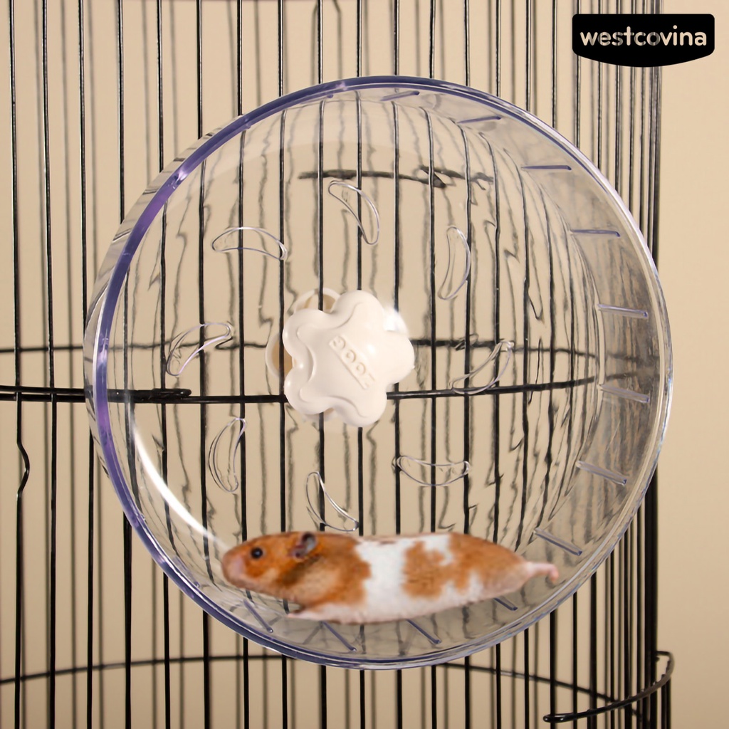 [Mới]♞Đĩa Tròn 17cm Cho Chuột Hamster Chạy Bộ