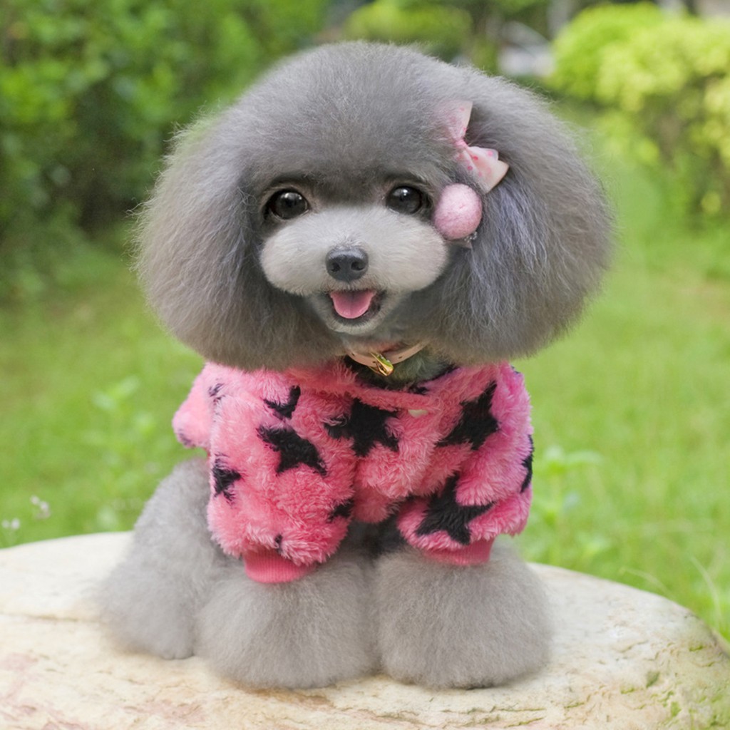 Áo Hoodie In Hình Ngôi Sao Cho Thú Cưng