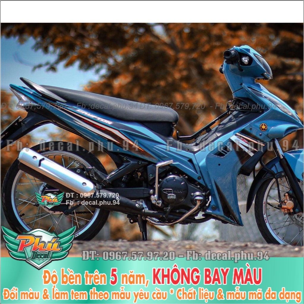 Tem Rời Ex 2006-2010 xanh đen (K) -1