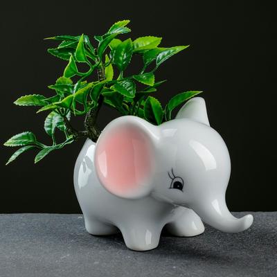 Chậu Trồng Sen Đá Xương Rồng Hình Voi Sứ Cao Cấp Có Lỗ Thoát Nước Cực Xinh