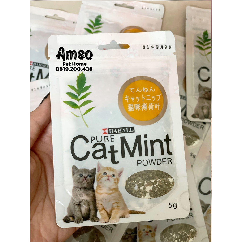 Cỏ Mèo | Cỏ Bạc Hà Catnip Hahale cho mèo – Gói Catmint 5g hỗ trợ tiêu búi lông, tốt cho tiêu hóa mèo
