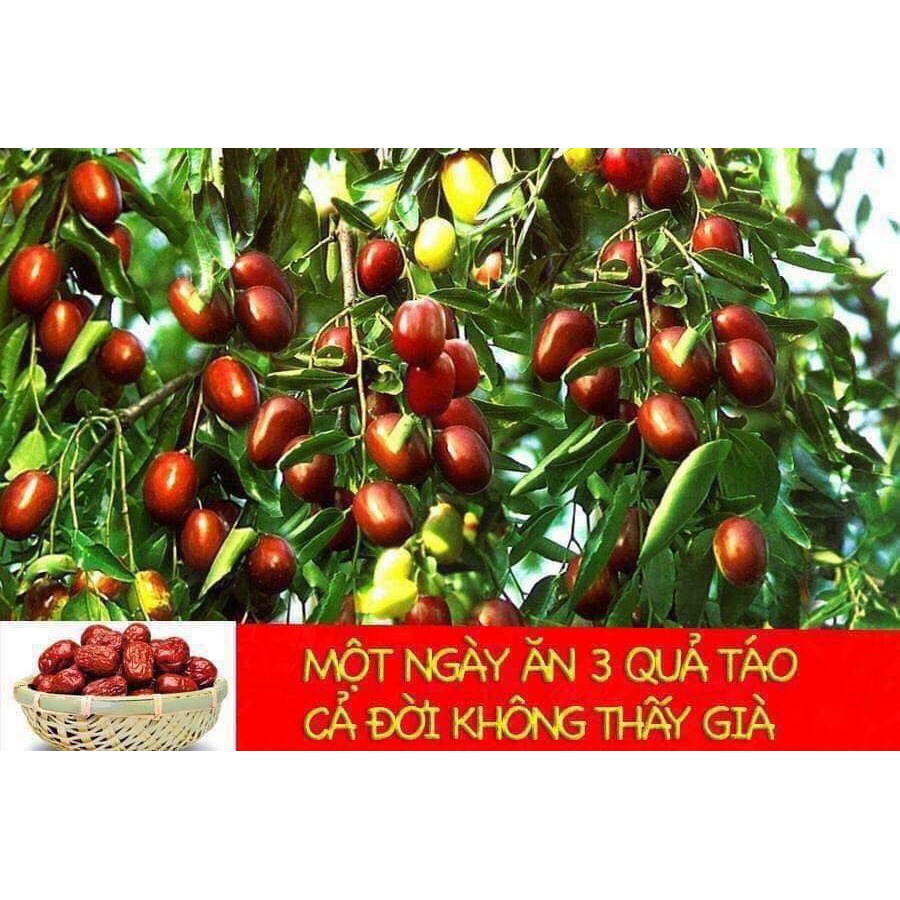 Táo đỏ khô Tân Cương (gói 500g)