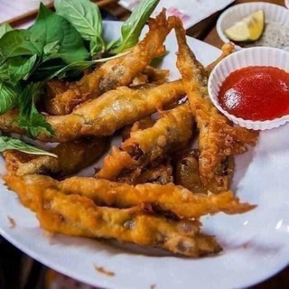 CÁ TRỨNG NAUY
